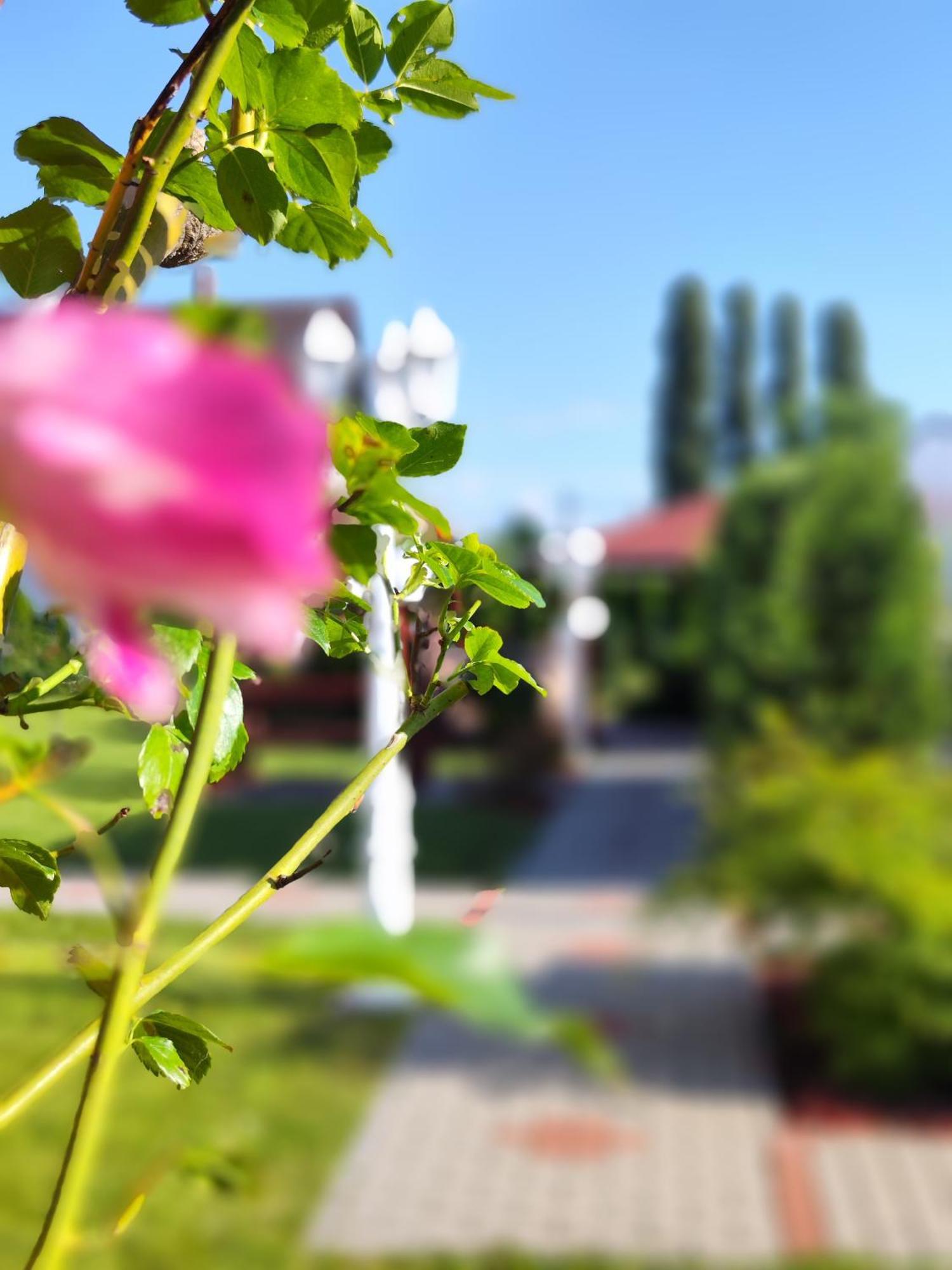 Havasi Üdülőház Gyenesdiás Esterno foto